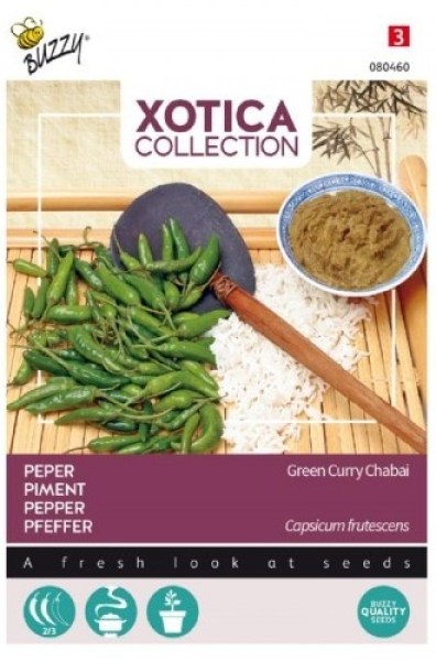 080460 Green  curry chabai_500x500